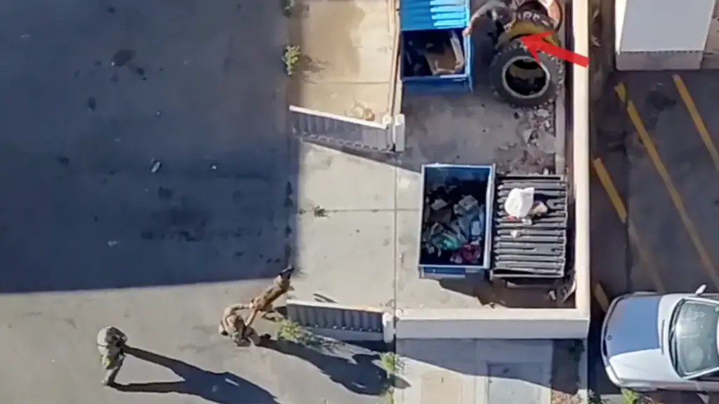 Cách cảnh sát Mỹ dùng drone truy bắt nghi phạm tấn công bạo lực