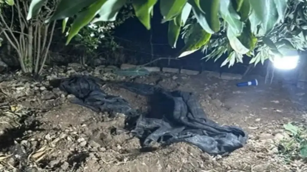 Cụ bà 87 tuổi ở Hải Phòng bị sát hại, chôn thi thể dưới gốc xoài