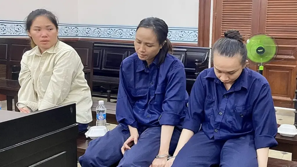 Thu tiền tỷ để tổ chức 'đẻ thuê' ở TP HCM