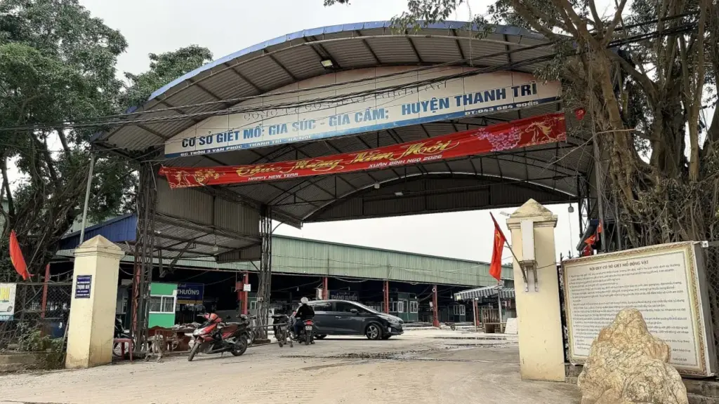 Chiêu 'vòi tiền' của cán bộ kiểm dịch thú y, tiếp tay tiêu thụ 3.600 con lợn bệnh