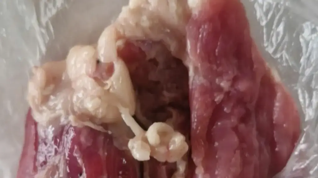 Công an điều tra nguồn gốc thịt lợn bệnh trong bếp ăn Trường mầm non Hòa Bình