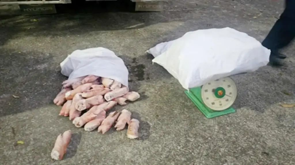 Thu giữ hơn 12 tấn chân lợn đông lạnh bốc mùi ở Quảng Ninh