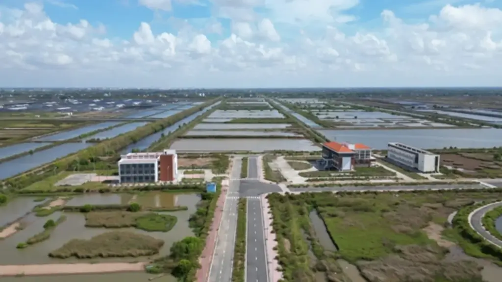 Khu tôm công nghệ cao 338 tỉ đồng tại Cà Mau bây giờ ra sao?