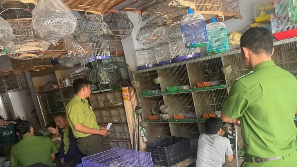 Phát hiện hàng chục con chim quý hiếm bị nuôi nhốt trái phép