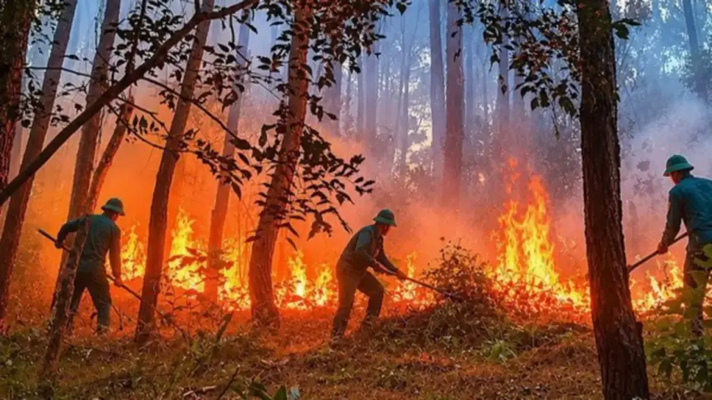 Huế: Công an tìm nhóm người cắm trại gây ra vụ cháy rừng ở núi Tam Thai