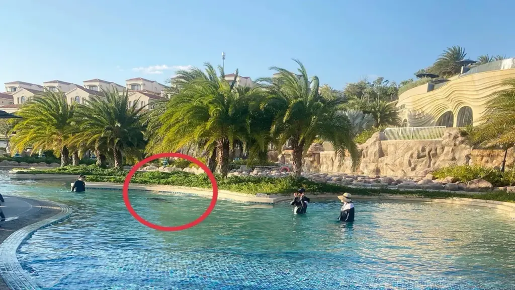 Phục hồi điều tra vụ bé trai người Nhật tử vong ở resort 5 sao