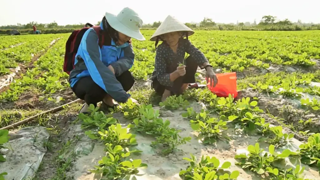 Quảng Trị tìm giải pháp thích ứng khí hậu từ những người chịu tác động trực tiếp