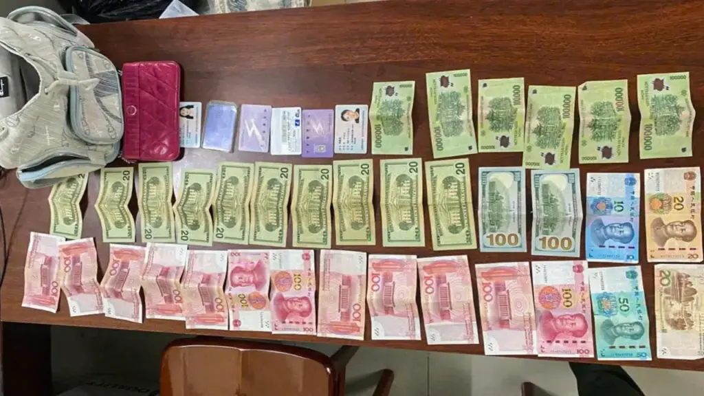 Nữ du khách hỗ trợ công an bắt nóng kẻ trộm tài sản của người nước ngoài