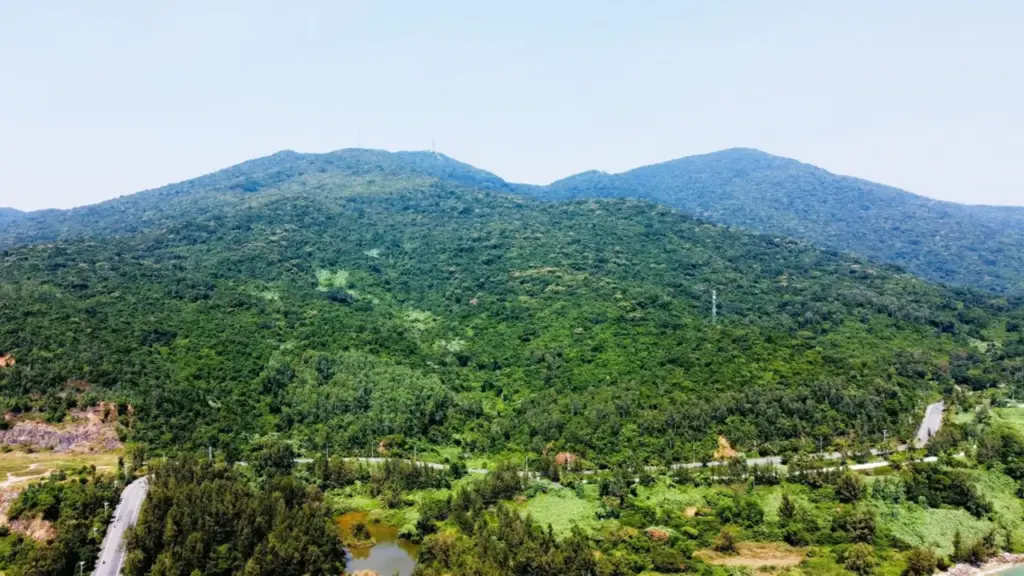 Vụ du khách rơi khỏi dù lượn tử vong ở Sơn Trà: Phi công quên gài khóa an toàn ở đùi